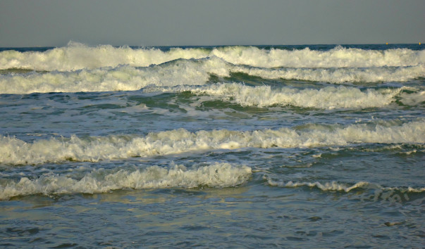 DSC06537 1