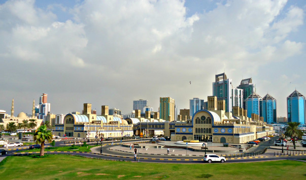DSC06617 1
