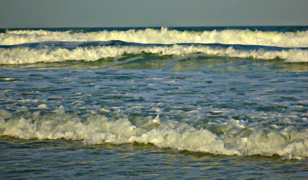 DSC06563 2