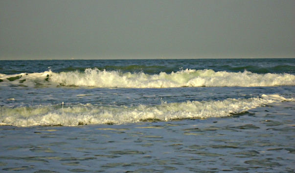 DSC06573 3