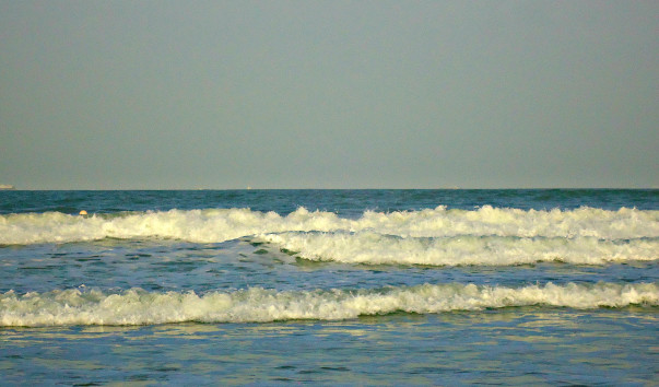 DSC06560 3