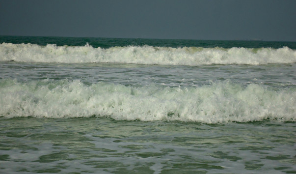 DSC06587 3
