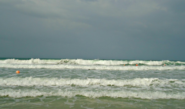 DSC06584 3