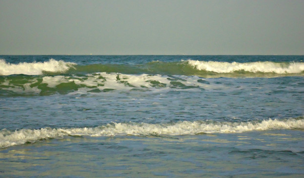 DSC06571 4