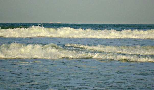 DSC06535 4