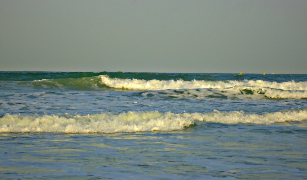 DSC06536 4