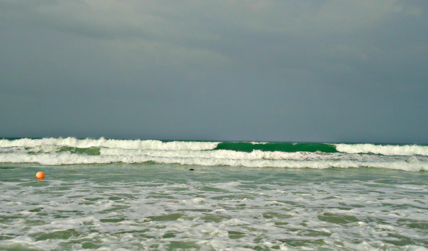 DSC06582 4