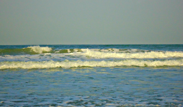 DSC06559 4