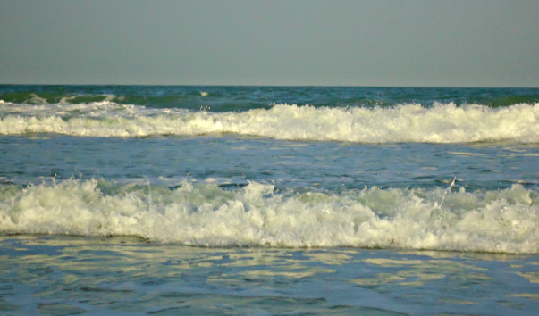 DSC06565 4