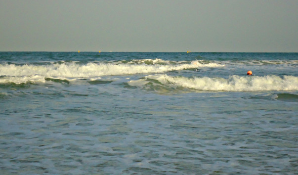 DSC06533 4