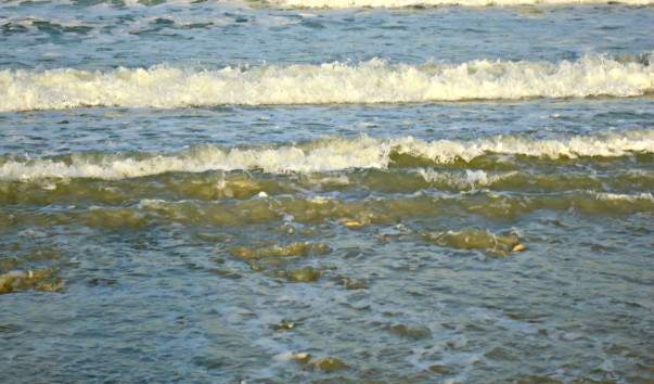 DSC06528 4