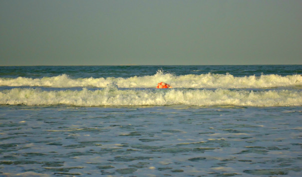 DSC06570 4