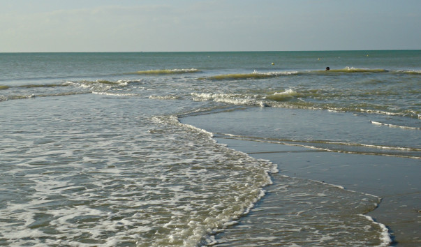 DSC08549 1