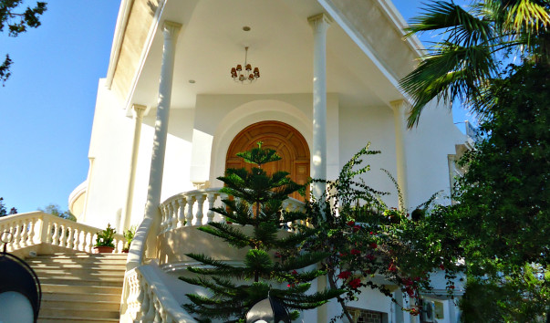 DSC08603  1