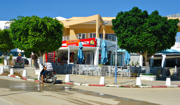 DSC08570  1