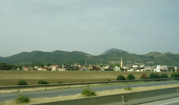 DSC08083 1