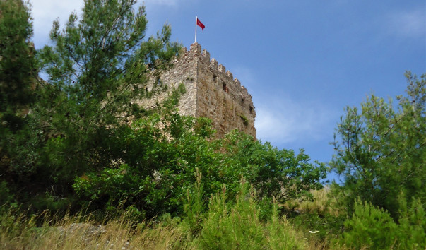 DSC09825
