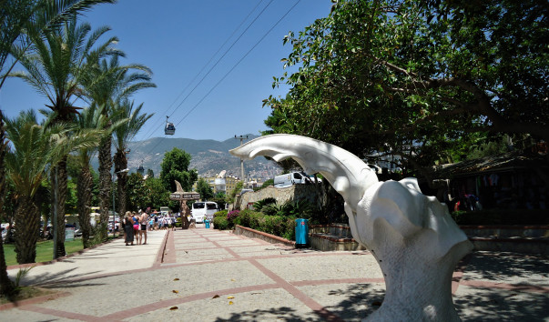 DSC09954