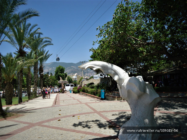 photo 1813853
