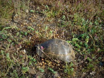 photo 1794202