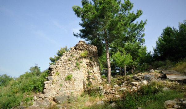 DSC09718