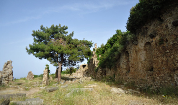 DSC09666