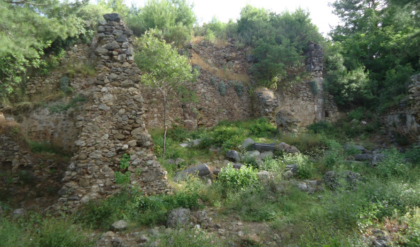 DSC09713