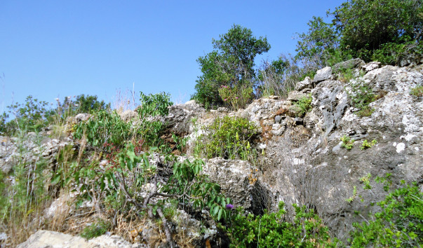 DSC09658