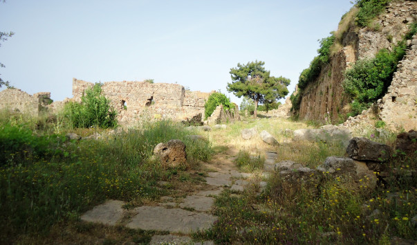 DSC09660