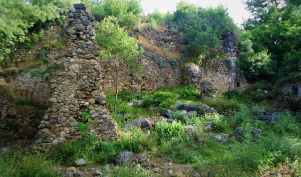 DSC09713