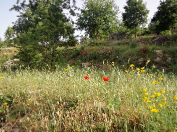 photo 1798591