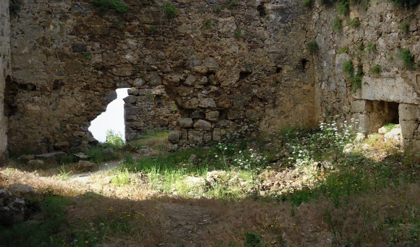 DSC09703