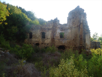 photo 1949437