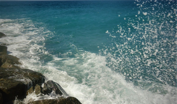 DSC02700