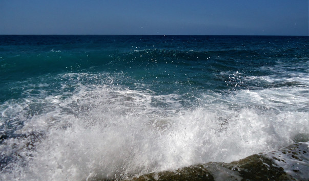 DSC02697