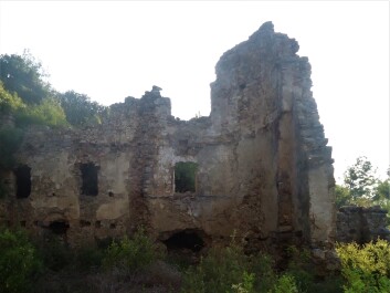 photo 1950436