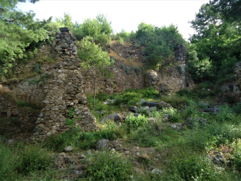 photo 1950869