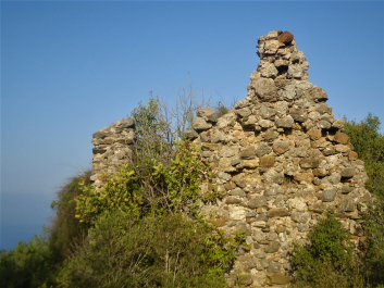 photo 1951195