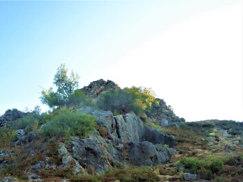 photo 1975714
