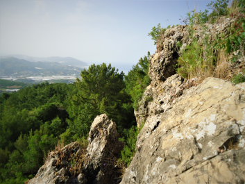 photo 1951451