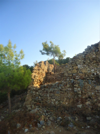 photo 1952080