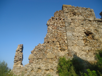 photo 1952219