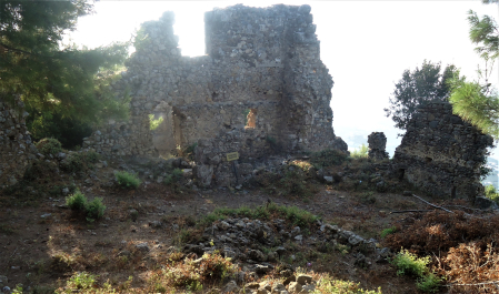 photo 1977892