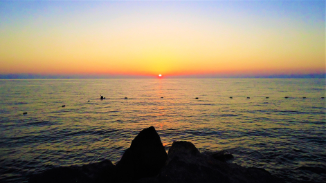 photo 2073911