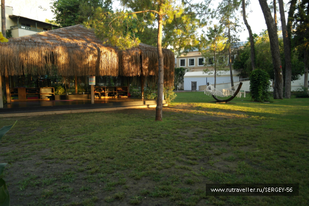 photo 2077376