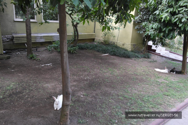 photo 2078013