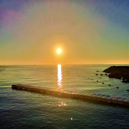 photo 2075120