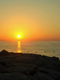 photo 2078393