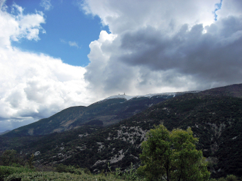 photo 339742