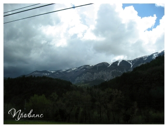 photo 339756